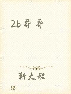 2b哥哥