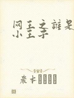 网王之谁是我的小王子
