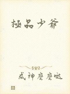 极品少爷
