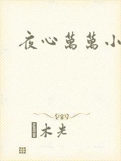 夜心万万小说