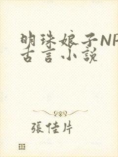 明珠娘子NPC古言小说封面