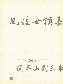 风流女镇长封面