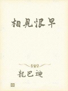 相见恨早封面