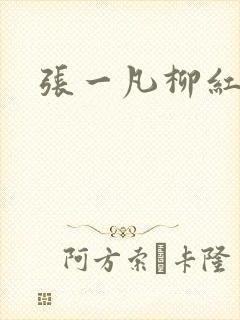 张一凡柳红