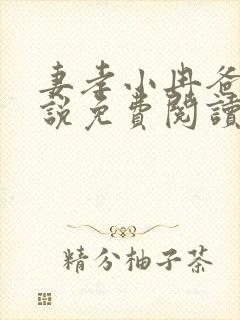 妻孝小冉爸爸小说免费阅读
