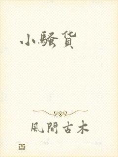 小骚货封面