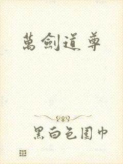 万剑道尊