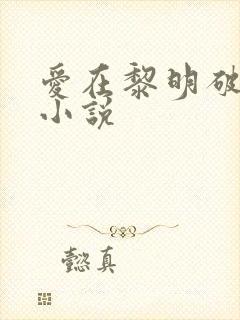 爱在黎明破晓前小说