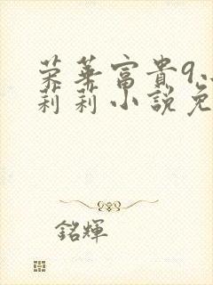 荣华富贵9小王莉莉小说免费阅读封面