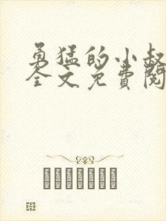 勇猛的小叔小说全文免费阅读封面