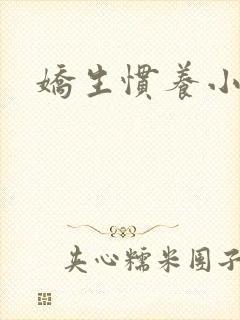 娇生惯养小说