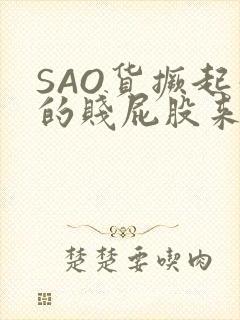 SAO货撅起你的贱屁股来