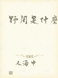野周是什么意思