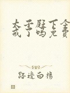 太子殿下今天破戒了吗免费阅读封面