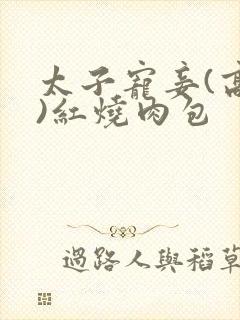 太子宠妾(高肉)红烧肉包封面