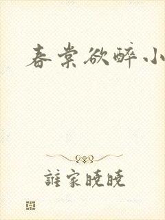 春棠欲醉小说
