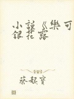小说《乐可》金银花露封面
