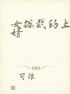 女总裁的上门女婿