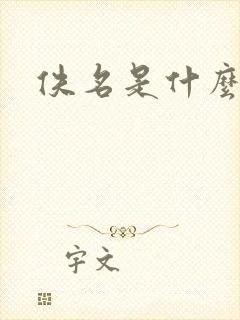佚名是什么意思封面