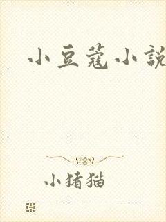 小豆蔻小说