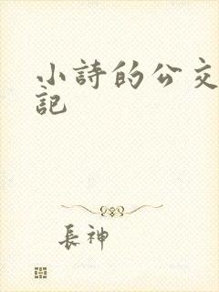 小诗的公交车日记