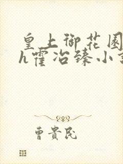 皇上御花园hlh霍冶臻小说封面