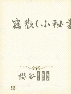 窃欢(小秘书)