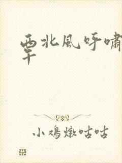 西北风呼啸的中午