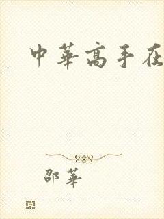 中华高手在异世
