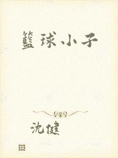 篮球小子
