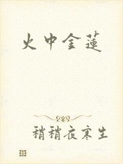 火中金莲封面