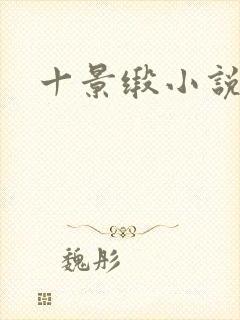 十景缎小说