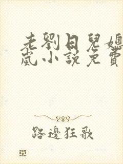 老刘日儿媳妇张岚小说免费阅读