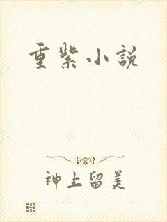 重紫小说
