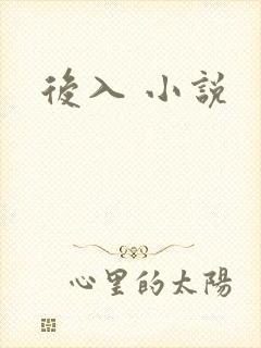 后入 小说