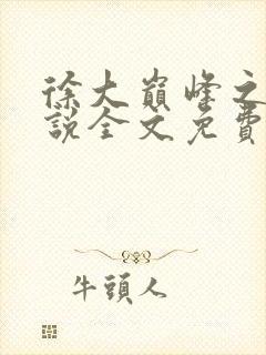 徐大巅峰之路小说全文免费阅读