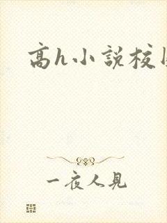 高h小说校园封面