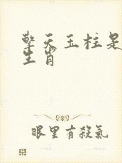 擎天玉柱是什么生肖
