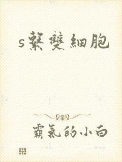 s系双细胞