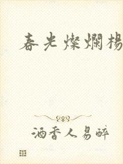 春光灿烂杨家将