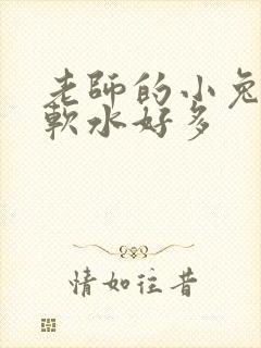 老师的小兔子好软水好多