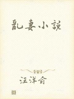 乱妻小说