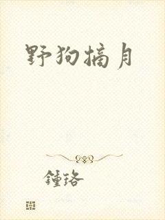 野狗摘月封面