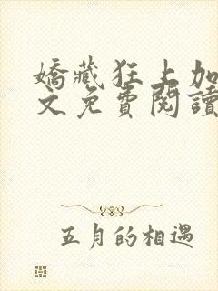 娇藏狂上加狂全文免费阅读笔趣阁