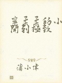 宁柔柔的小泬撑开到极致