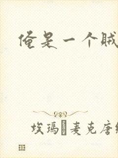 俺是一个贼