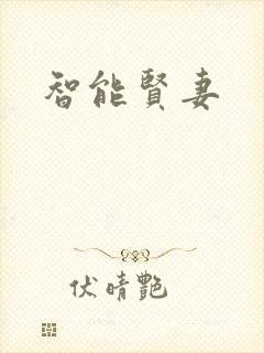 智能贤妻