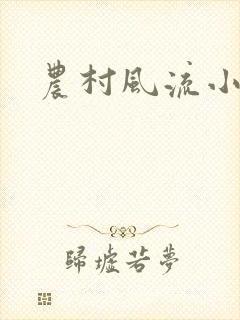 农村风流小说
