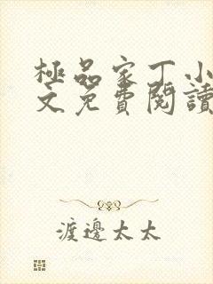 极品家丁小说全文免费阅读