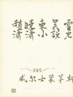 赵晓东吴雪晴王潇潇小说免费阅读封面